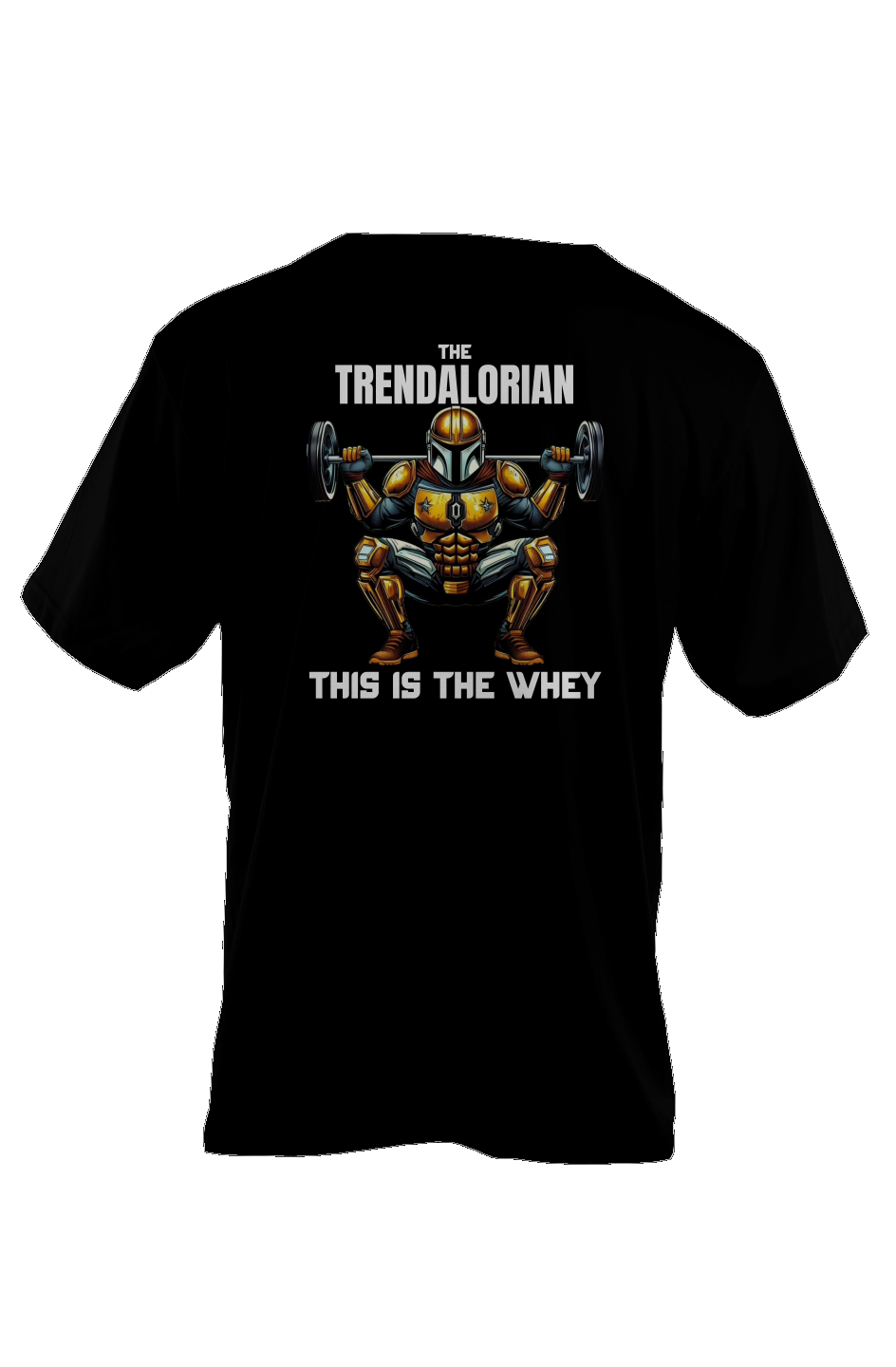 Men's Oversized Heavyweight T Shirt |Trendalorian|